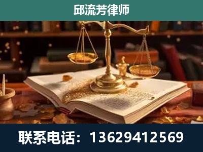 陆丰-新型网络犯罪