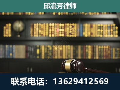 陆丰-经济类案件